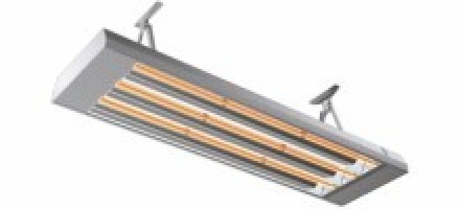 Выбор ламп для теплиц — особенности и расчет