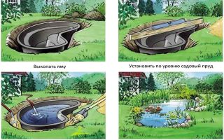 Как сделать пруд своими руками: подробный инструктаж по созданию водоема на приусадебном участке