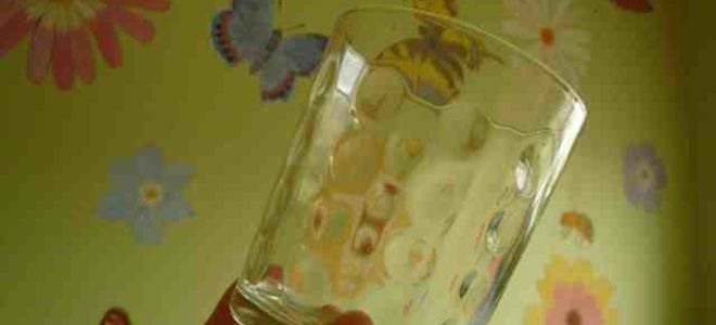 Какое средство для посудомоечной машины лучше: рейтинг высокоэффективных моющих средств