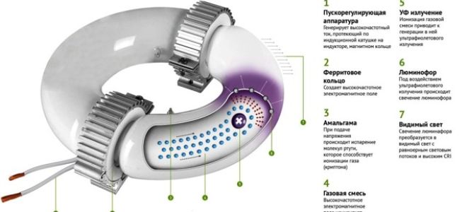Индукционные лампы: конструкция и принцип действия