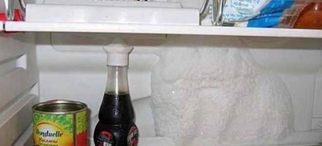 Как разморозить холодильник быстро и правильно: инструкция и советы