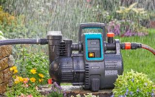 Как подобрать насос для полива огорода из пруда, бочки или водоема