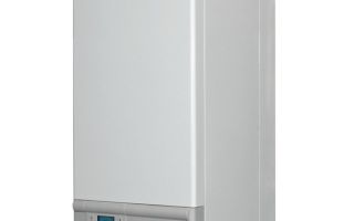 Лучший энергонезависимый газовый котел для отопления частного дома: ТОП-10 моделей и рекомендации по выбору