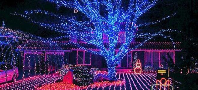 Светодиод — характеристики и определение полярности