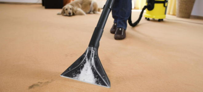 Как пользоваться моющим пылесосом: правила эксплуатации и ухода