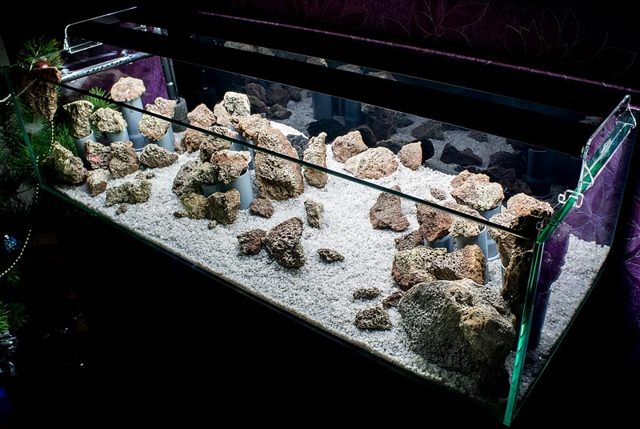 Светодиоды для аквариума - расчет и правильный подбор