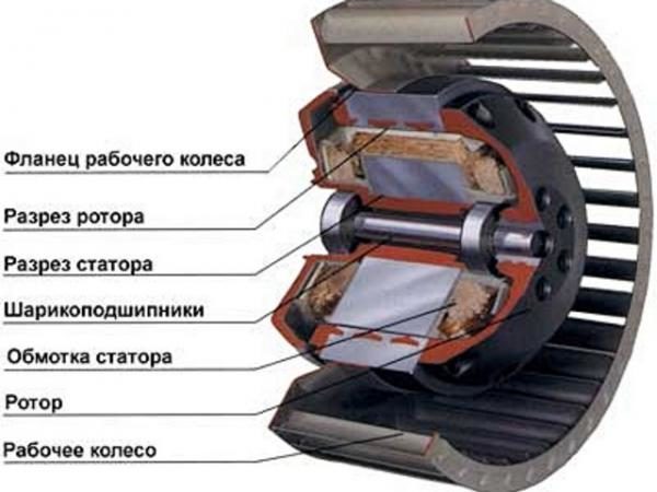 Понятие и разновидности роторов: обмотка и частота вращения ротора и статора
