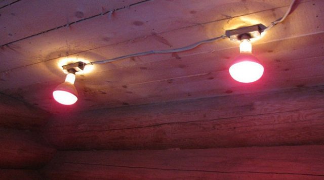 Инфракрасные лампы освещение, отопление курятников и птичников