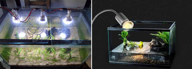 Освещение аквариума: типы ламп и их приемущества