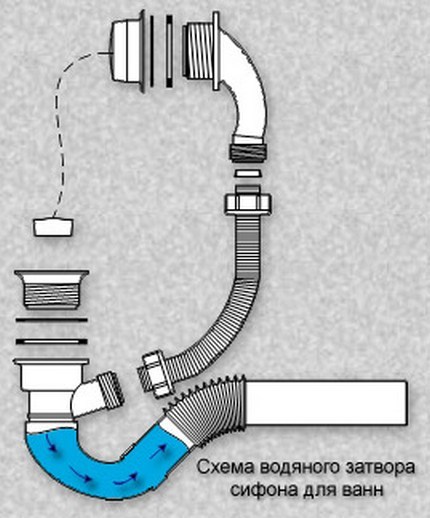 Схема сборки слива раковины на кухне