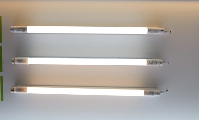 Светодиодные лампы Т8 в сравнении с люминесцентными