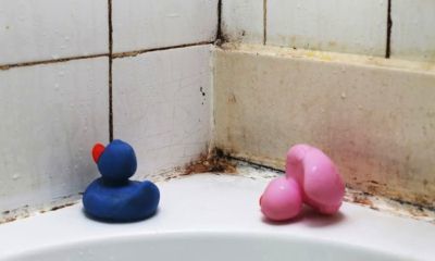 Как убрать грибок в ванной: обзор лучших способов удаления грибка