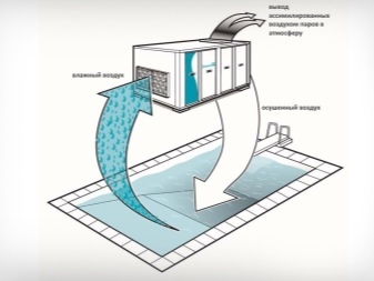 Осушители для бассейнов: виды машин для осушения воздуха