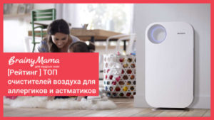Какой выбрать очиститель воздуха для квартиры: рекомендации аллергикам и астматикам