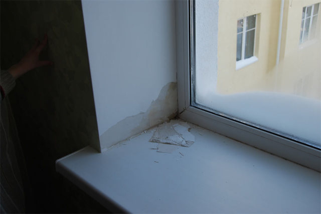 Как избавиться от влажности в квартире: методы борьбы с повышенной влажностью в жилом помещении