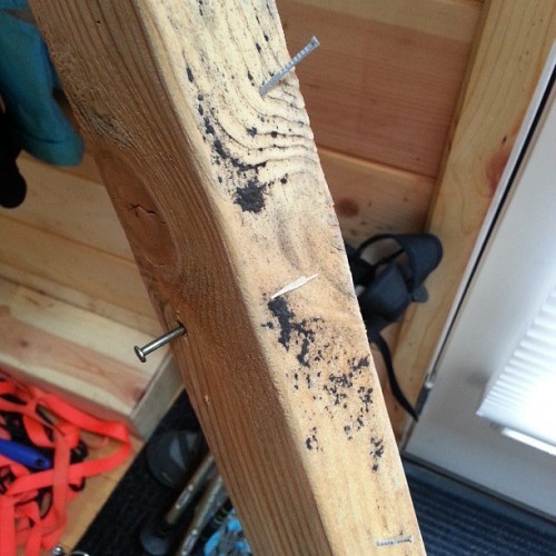 Как убрать плесень с деревянных поверхностей: обзор лучших способов